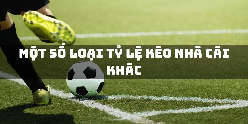 Tỷ lệ kèo nhà cái 79king