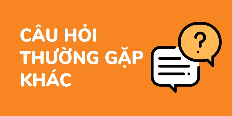 Câu hỏi thường gặp 79king