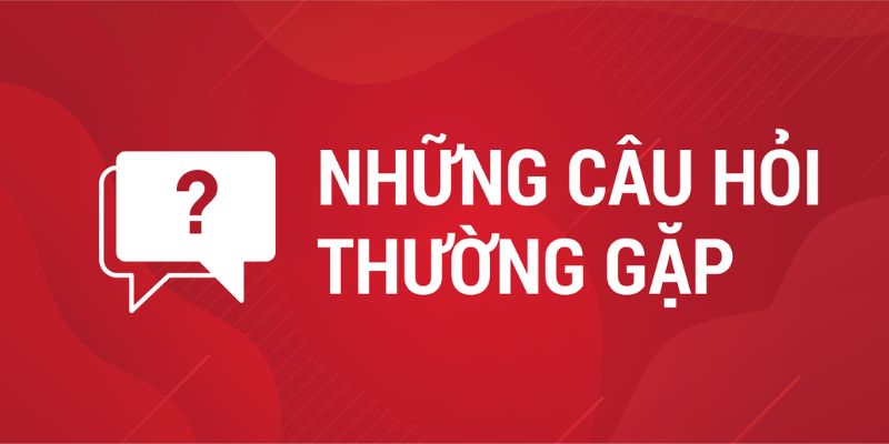 Câu hỏi thường gặp 79king