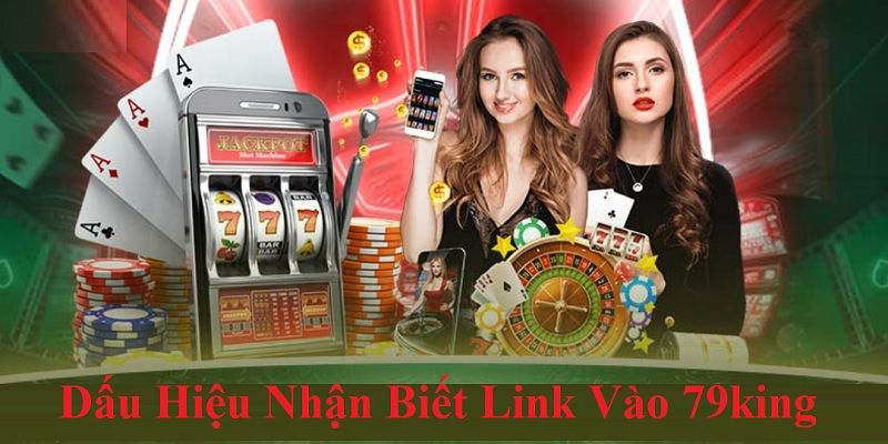 Link 79king